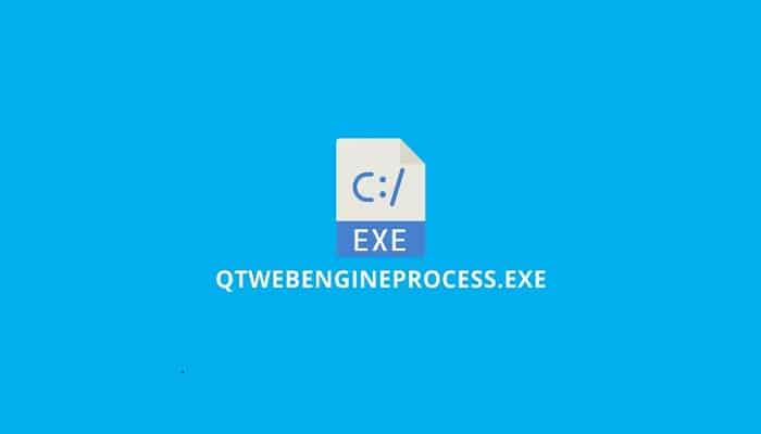 QtWebEngineProcess.exe