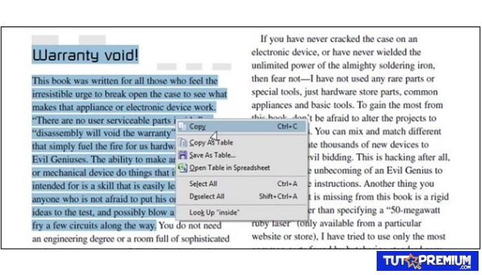 Copiar textos del PDF y pegarlos en un archivo de Word
