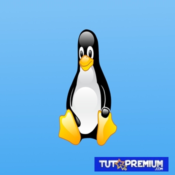 Cómo Convertir PDF A Imagen En El Sistema Linux (Método CLI y GUI)