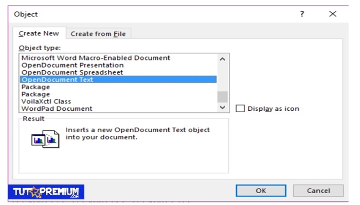 Selecciona "OpenDocument Text"