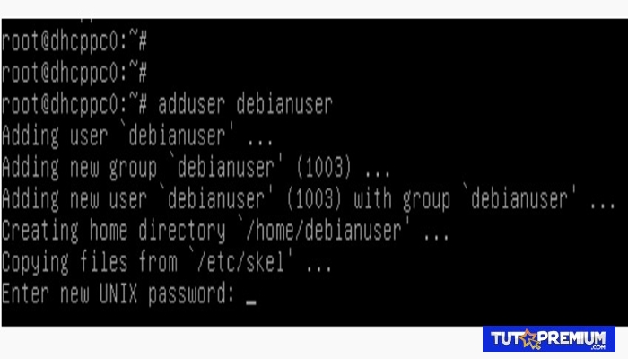 Distribuciones basadas en Debian - Debian / Ubuntu / Linux mint