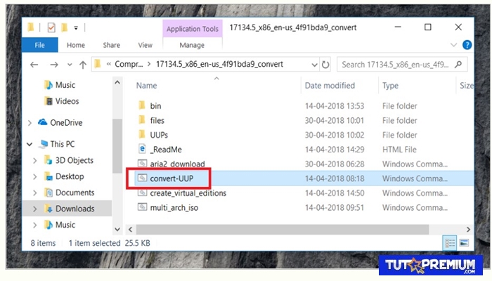 Ejecuta el UUP-Convert para comenzar a convertir los archivos descargados