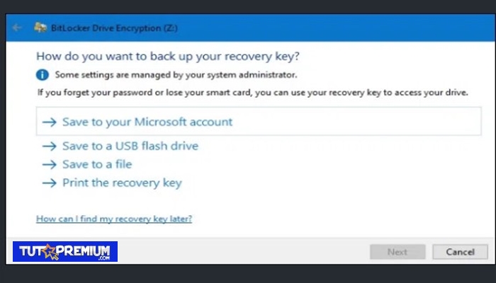 ¿Cómo quiere hacer una copia de seguridad de su clave de recuperación?