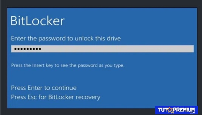 BitLocker requerirá que se introduzca la contraseña