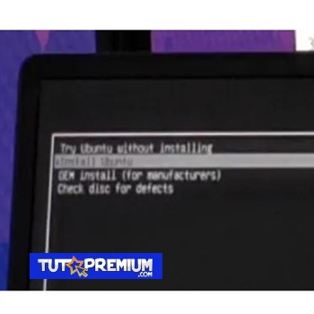 l sistema Ubuntu en vivo