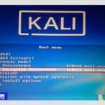 Instalar Kali Linux Live USB con persistencia / Windows