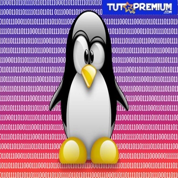 Cómo Instalar LFTP Para Descargar Y Subir Archivos En Linux