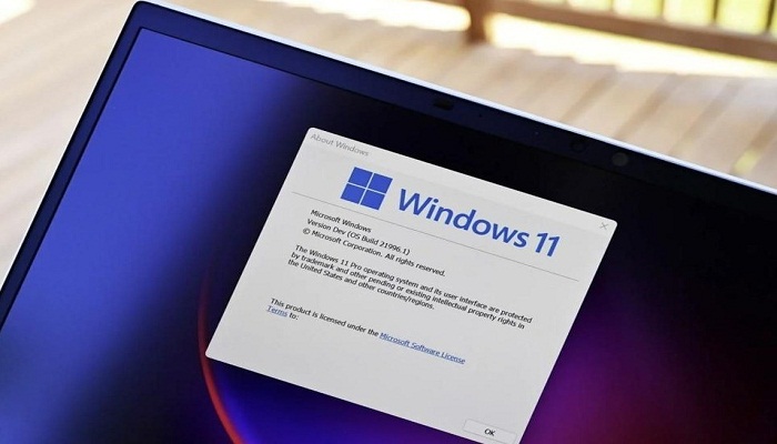 Se puede eliminar dwm.exe de Windows 11