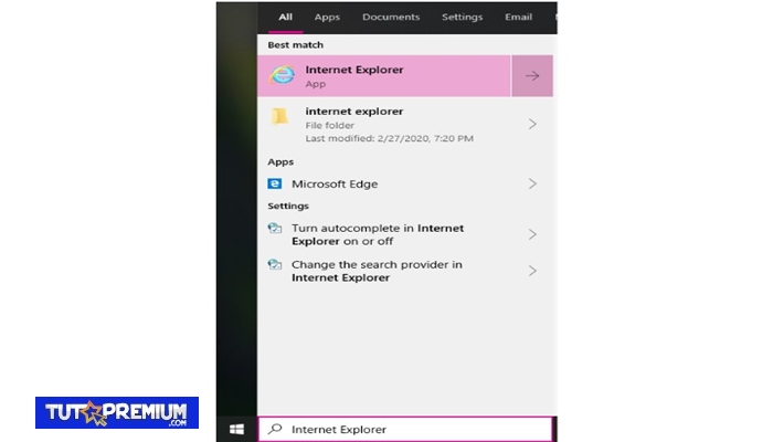 Ver las contraseñas guardadas de Internet Explorer sin una aplicación