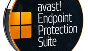 6. Avast Endpoint Protection Offline Installer