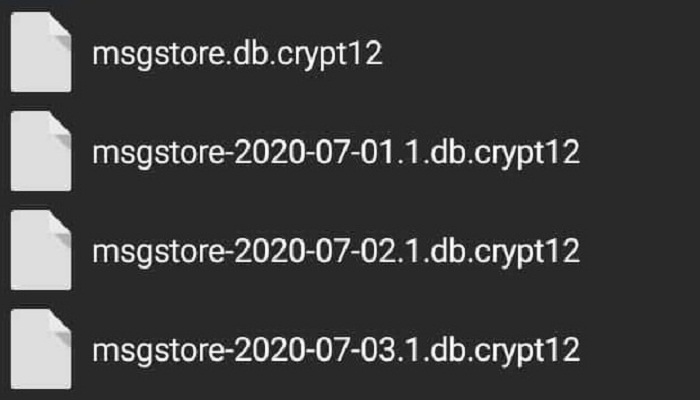 Características generales del archivo CRYPT12