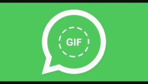 Cómo enviar un GIF por WhatsApp Web