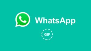 No Puedo Enviar GIF Por Whatsapp