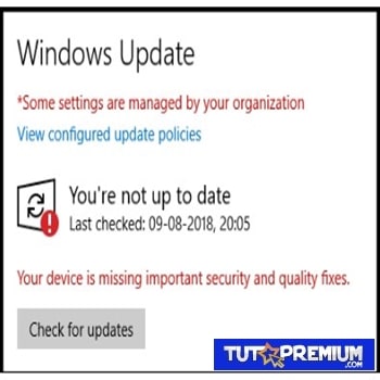 Actualiza tu Windows 10
