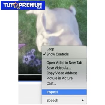 Descargar vídeos incrustados usando el navegador