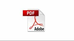 1. Formato PDF