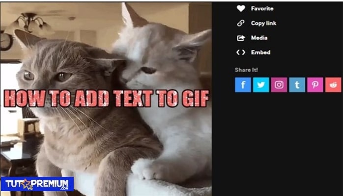 compartir el GIF en varias plataformas sociales