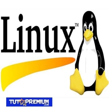 Enlaces Duros Y Enlaces Blandos En Linux