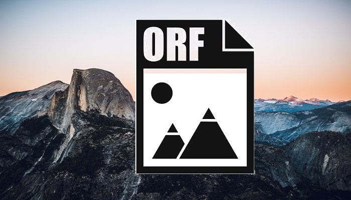 Qué es un archivo ORF
