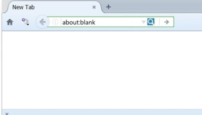 Qué Es About:blank en Chrome