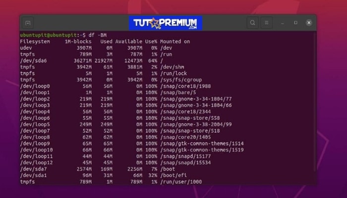 Imprimir el uso del disco en megabytes en el terminal de Ubuntu