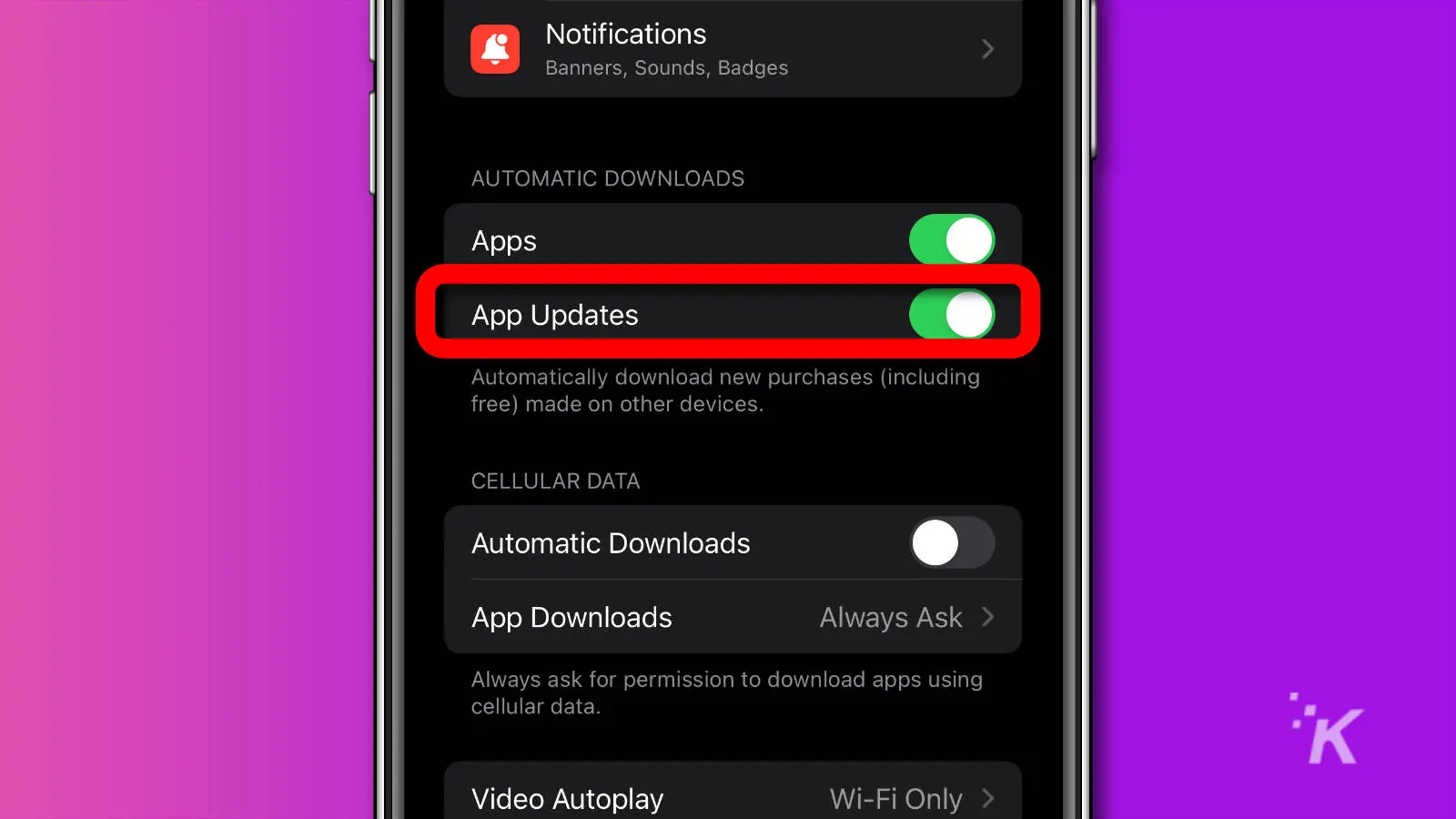 captura de pantalla de la aplicación de configuración de iOS que muestra las actualizaciones automáticas de la aplicación