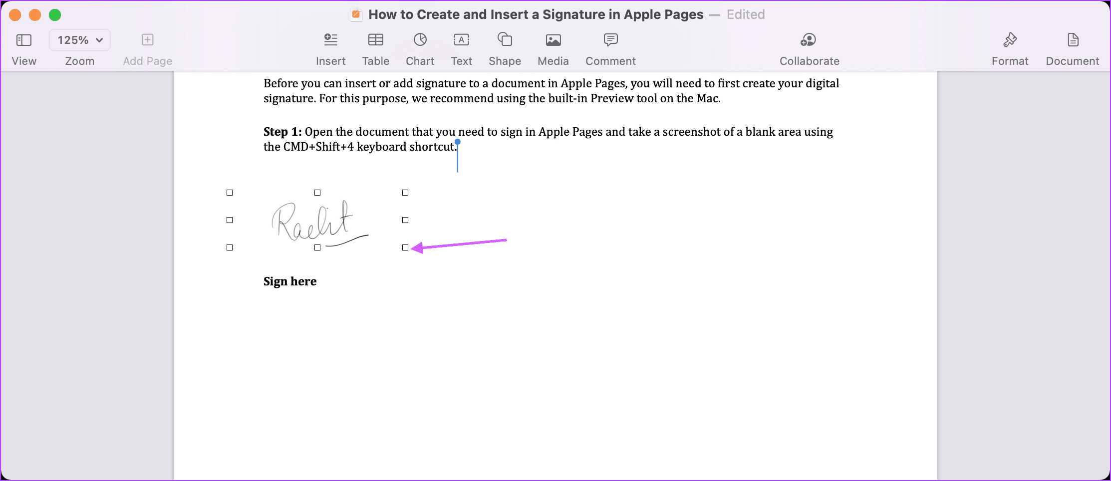 Ingrese su firma en las páginas de Apple 3