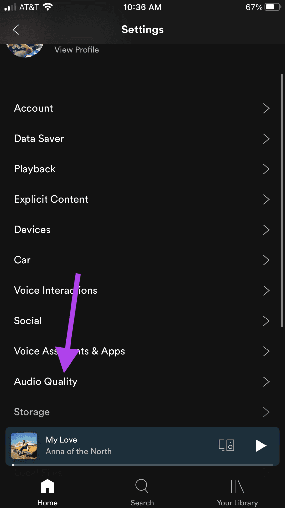 Configuración de audio de Spotify en el menú de configuración