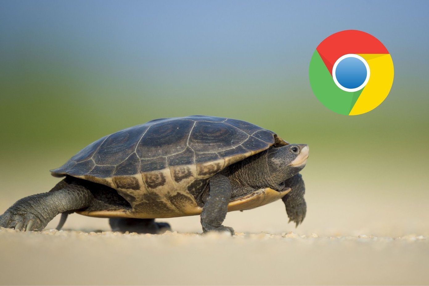 Solucionar el error de falta de memoria de Google Chrome en Windows 10