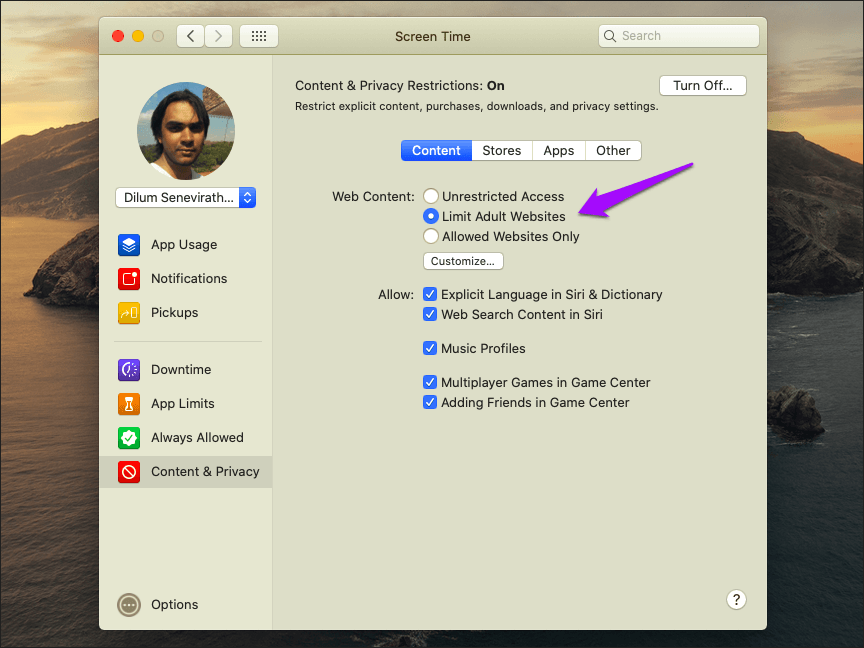 Deshabilitar la navegación privada de Safari Mac 4