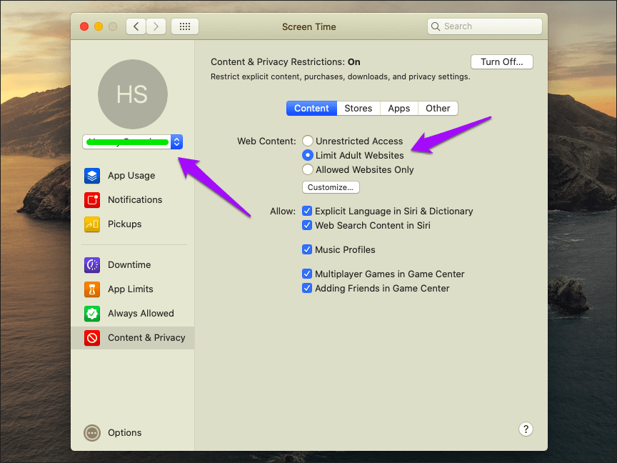 Desactivar navegación privada Safari Mac 10