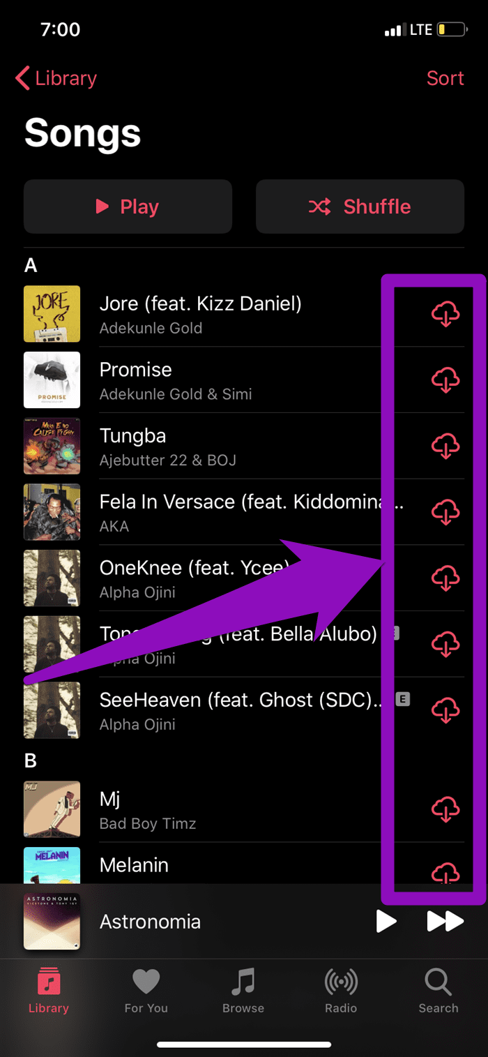 Arreglar canciones descargadas que no muestran Apple Music 09