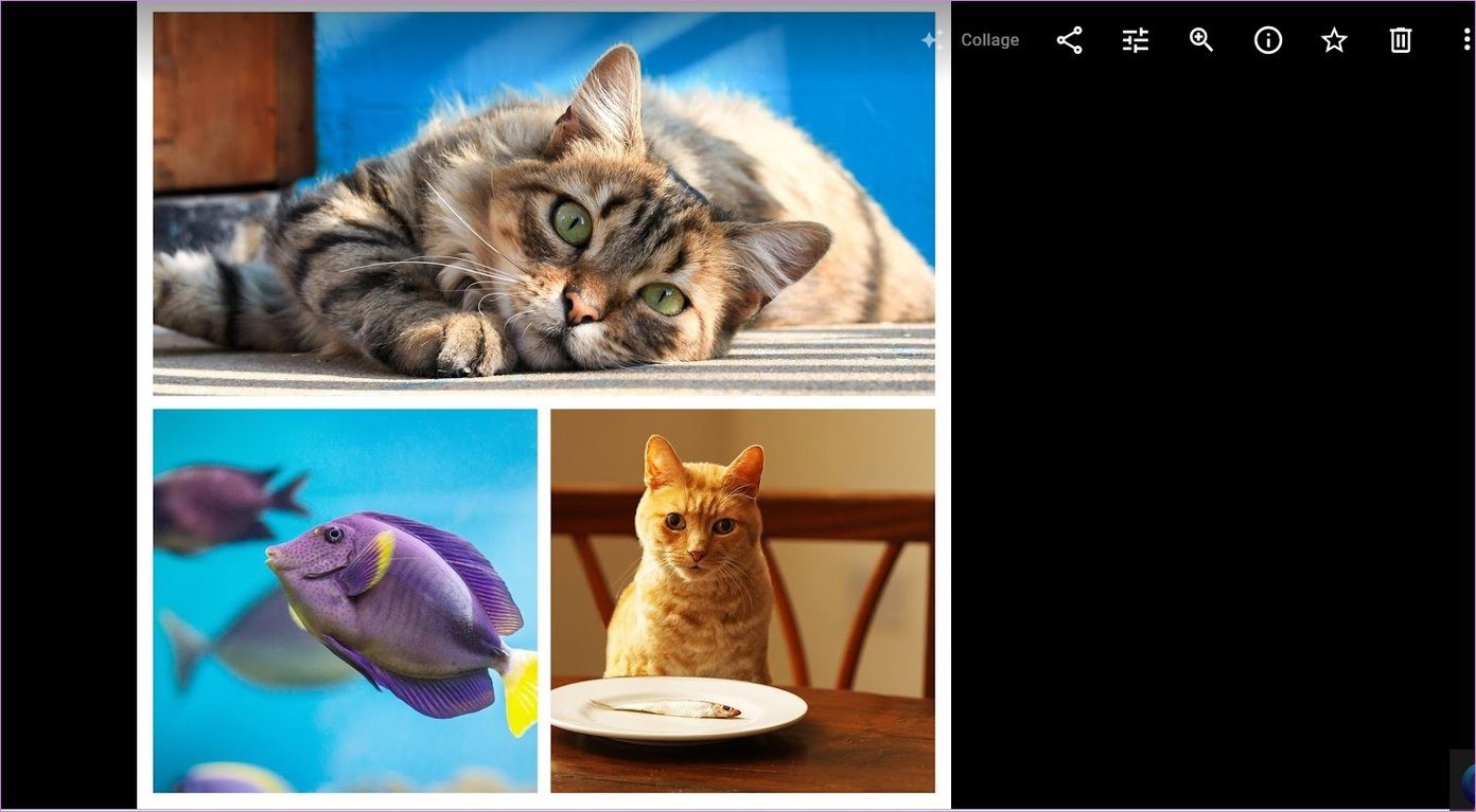 Crear un collage en google fotos para celular y computadora 3