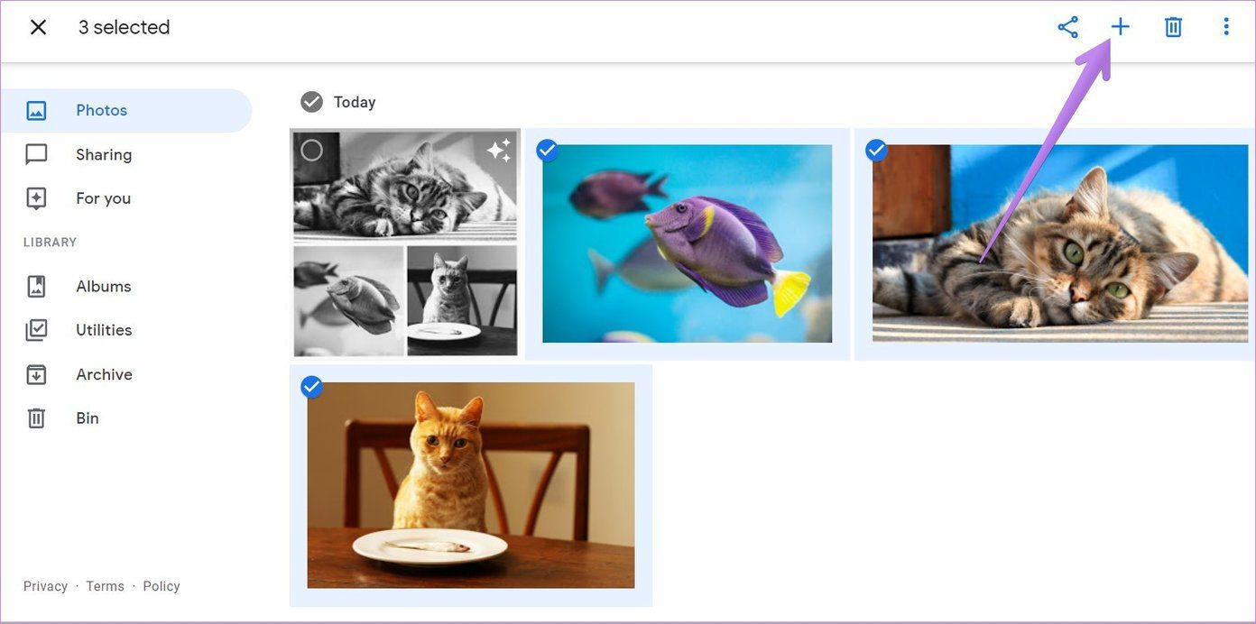 Crear un collage en google fotos para móvil y ordenador 8