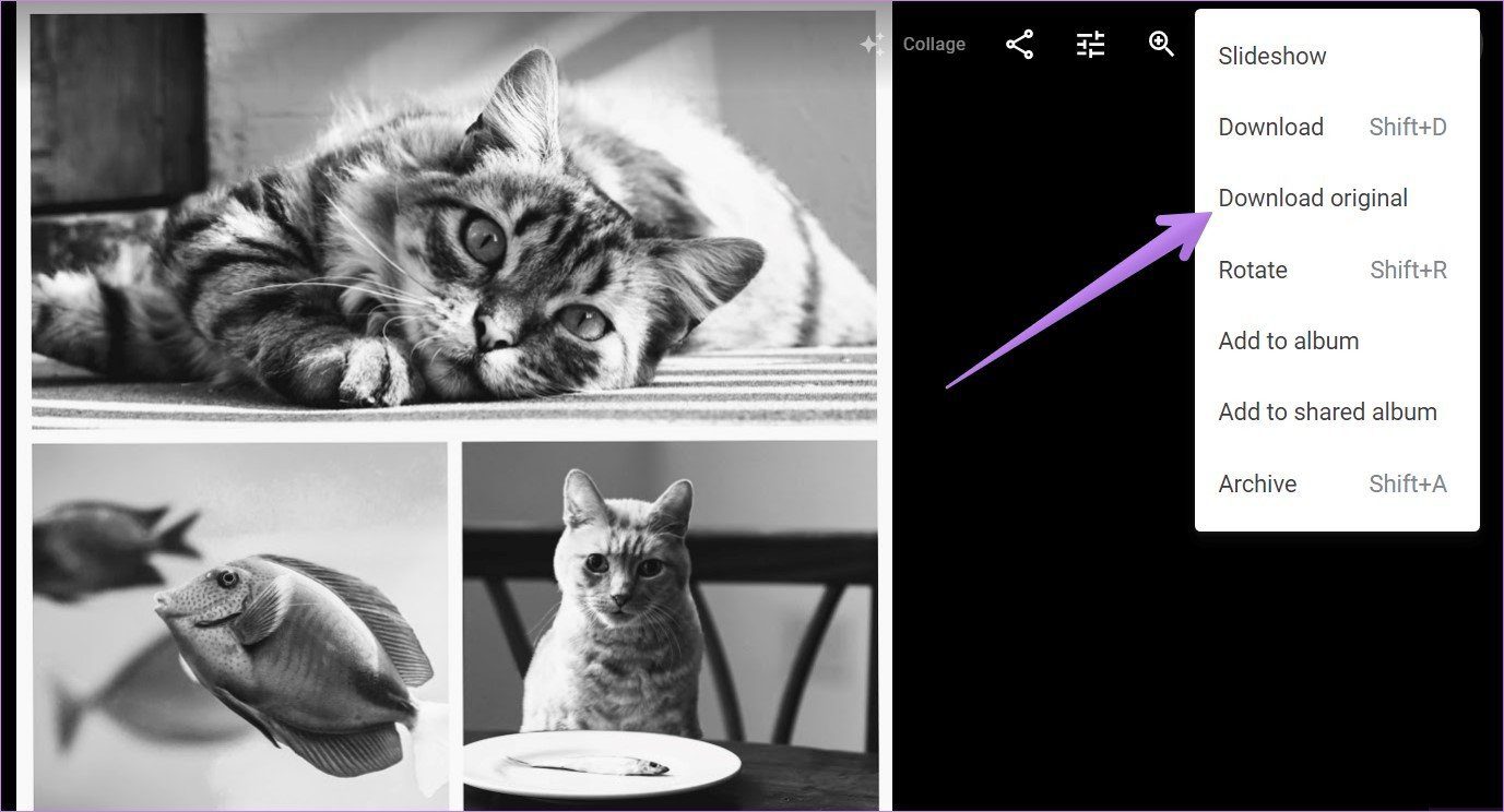 Crear un collage en google fotos para móvil y ordenador 7