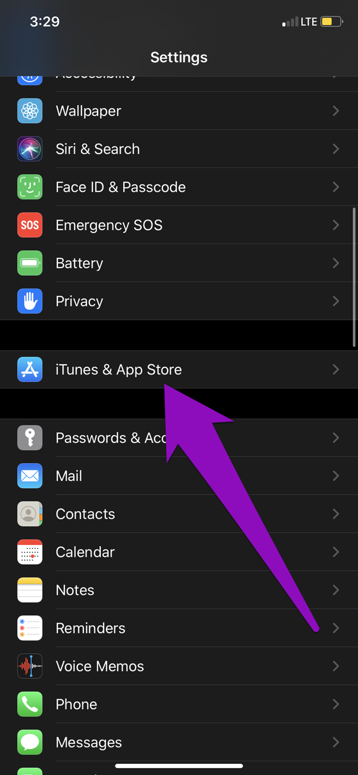 Arreglar la tienda de aplicaciones de iPhone que no descarga aplicaciones 08