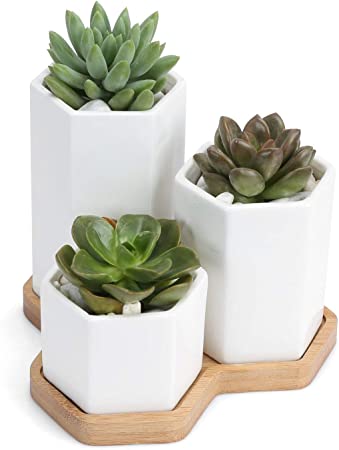 2.7inch Ceramic Succulent Planter with Square Design Succulent Pots with Bamboo Tray Small Cactus Plant Pot for Home, Garden, Office Decoration (Set of 3)