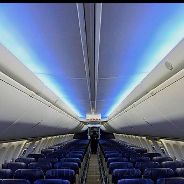 Interior de los asientos del Boeing Southwest