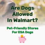 Are Dogs Allowed In Walmart - Frugal Reality