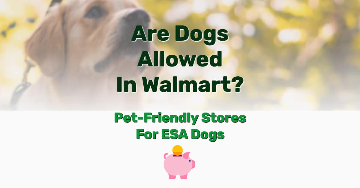 Are Dogs Allowed In Walmart? (PetFriendly Stores ESA Dogs) Tuto