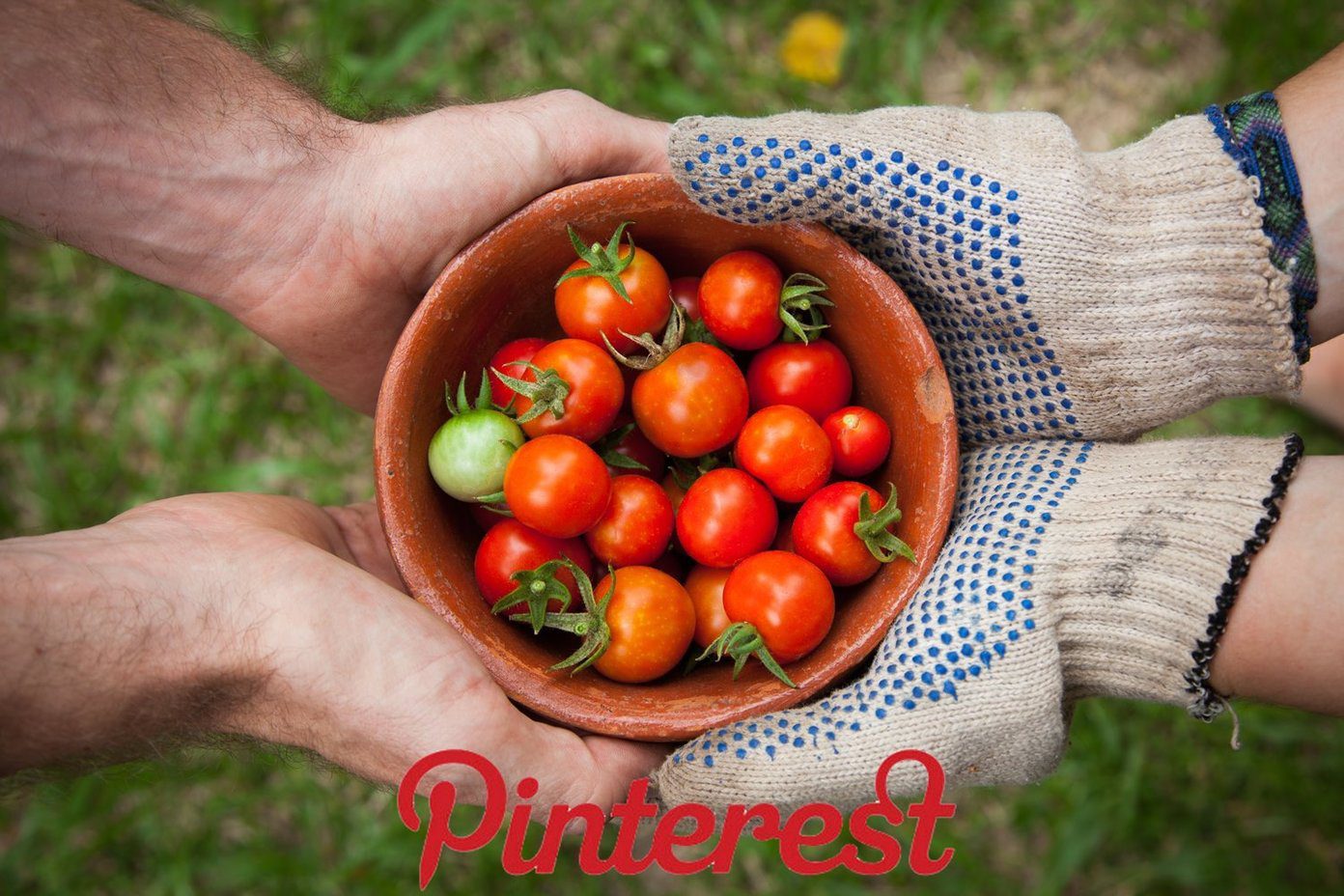 Compartir tableros de Pinterest Fi