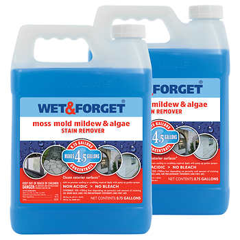 Wet and Forget for Your Springtime Easy Mildew Prevention